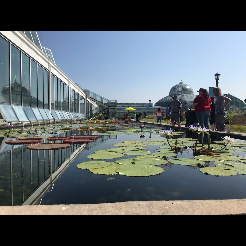 Meet your Posher, Theresa